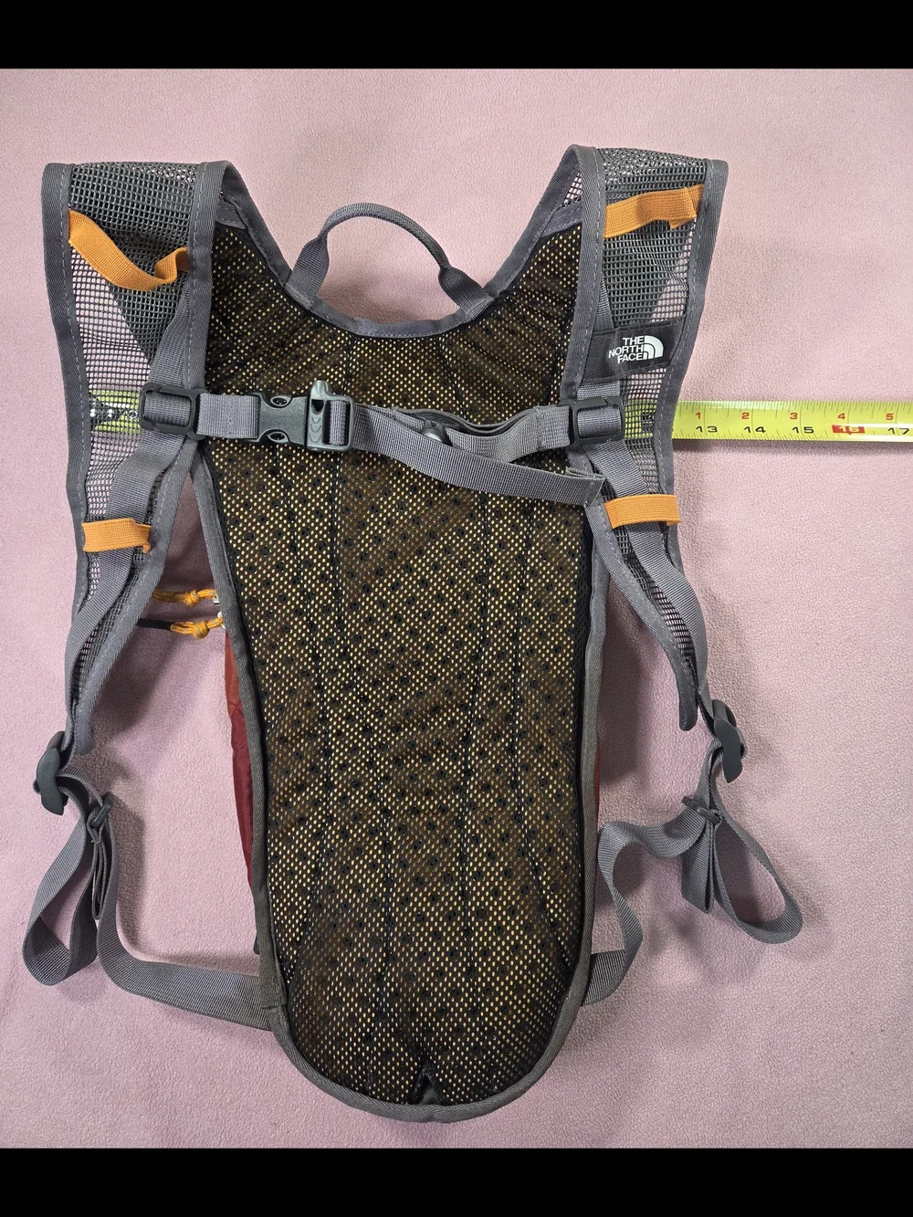 The North Face Red Tactical Hydration Pack